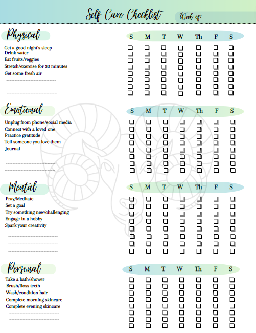 Aries Efficiency Set